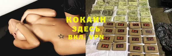 дмт Арсеньев