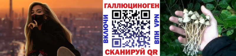 цены наркотик  гидра tor  Псилоцибиновые грибы GOLDEN TEACHER  Райчихинск 